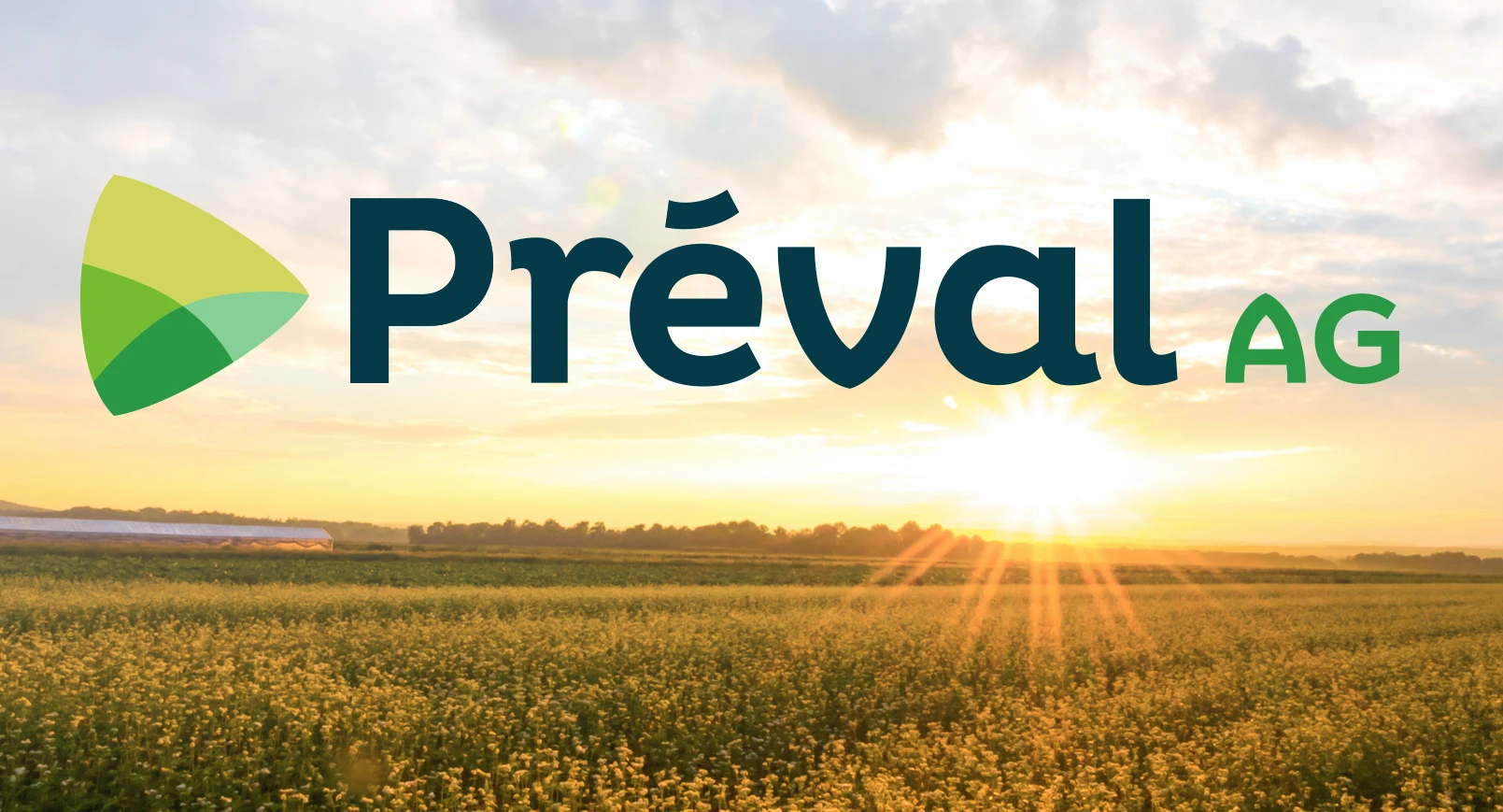 Preval-Announcement-Graphic.jpg